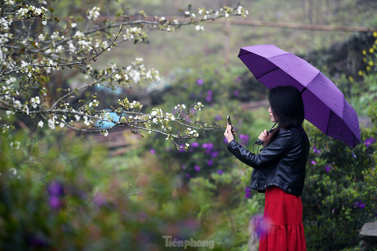 Lac buoc giua vuon hoa le dep o Na Hang, Tuyen Quang-Hinh-11