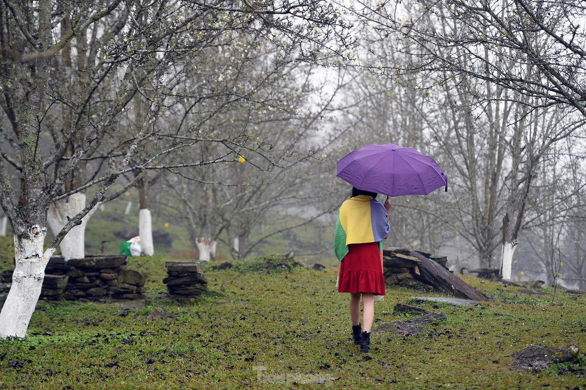 Lac buoc giua vuon hoa le dep o Na Hang, Tuyen Quang-Hinh-8