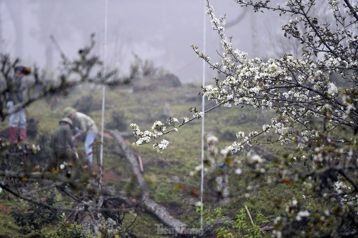 Lac buoc giua vuon hoa le dep o Na Hang, Tuyen Quang-Hinh-9