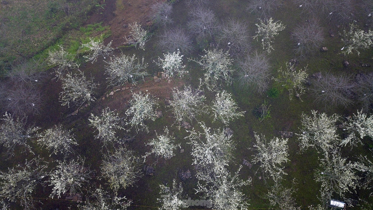 Lac buoc giua vuon hoa le dep o Na Hang, Tuyen Quang-Hinh-17