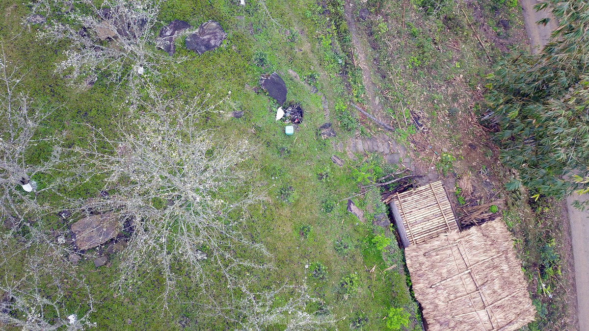 Lac buoc giua vuon hoa le dep o Na Hang, Tuyen Quang-Hinh-16