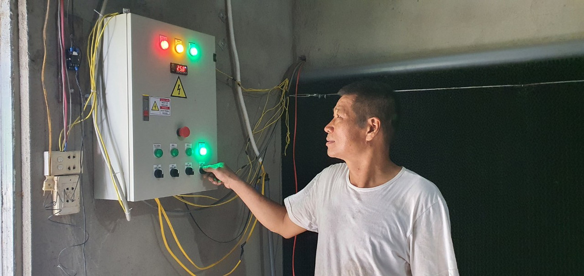 Nuôi gà tự động hóa, nông dân rủng rỉnh vài trăm triệu/lứa - Hình 5 Nuoi ga tu dong hoa, nong dan rung rinh vai tram trieu/lua-Hinh-5