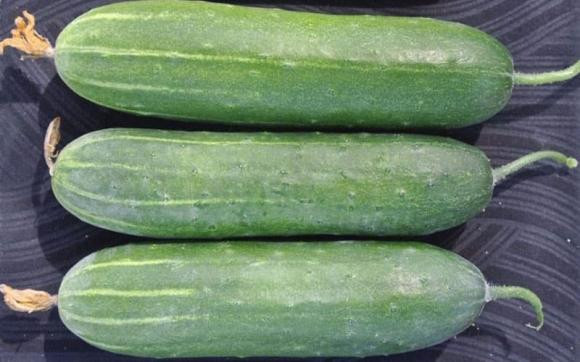 Ban da biet ten va cach phan biet 10 loai dua chuot?-Hinh-7