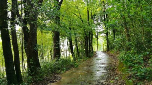 Trac nghiem tam ly: Bon con duong, ban muon di theo con duong nao?-Hinh-4