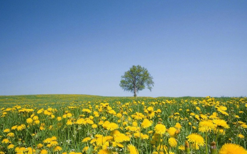 Phu nu sinh thang Am lich nay manh me, chim se hoa phuong hoang-Hinh-4