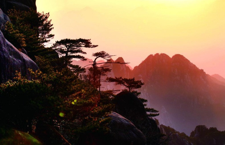 Phu nu sinh thang Am lich nay manh me, chim se hoa phuong hoang-Hinh-2