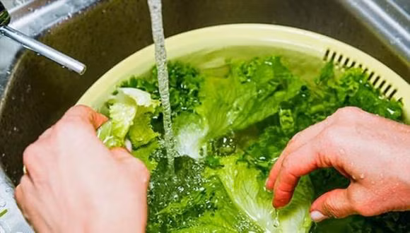 Meo hay giup rau cu het bui ban sach thuoc tru sau-Hinh-3