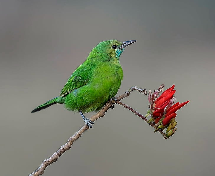 Ai sinh tháng Âm lịch này là người thắng trong cuộc sống Ai sinh thang Am lich nay la nguoi thang trong cuoc song