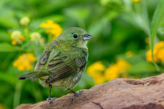 Ai sinh tháng Âm lịch này là người thắng trong cuộc sống - Hình 4 Ai sinh thang Am lich nay la nguoi thang trong cuoc song-Hinh-4