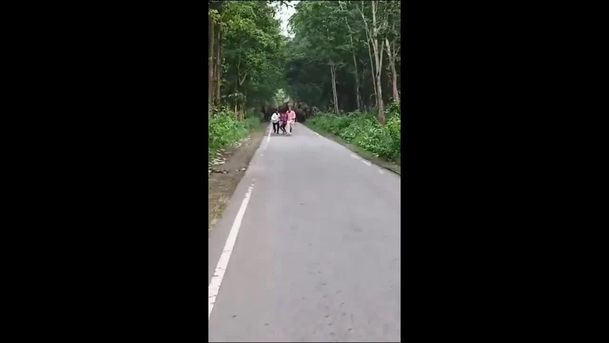 Video: Bị voi rượt đuổi, 3 người đàn ông bỏ chạy thục mạng Video: Bi voi ruot duoi, 3 nguoi dan ong bo chay thuc mang