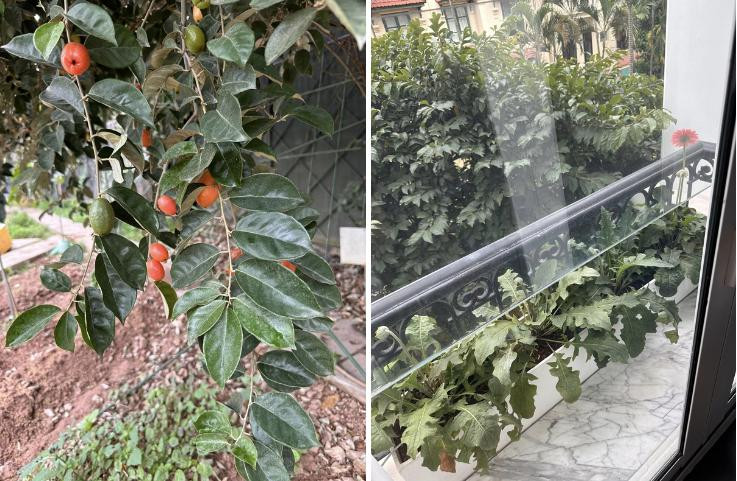 rên trang cá nhân, Nguyễn Thị Huyền còn khiến khán giả tò mò về nơi cô đang sống. Đây được xem là căn biệt thự ở khu nhà giàu bậc nhất ở Hà thành, chỉ cần nhìn sơ qua mọi người cũng biết diện tích căn biệt thự không hề nhỏ.