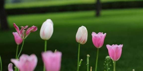 Phu nu sinh vao thang nay am lich nua doi sau huong thu-Hinh-3