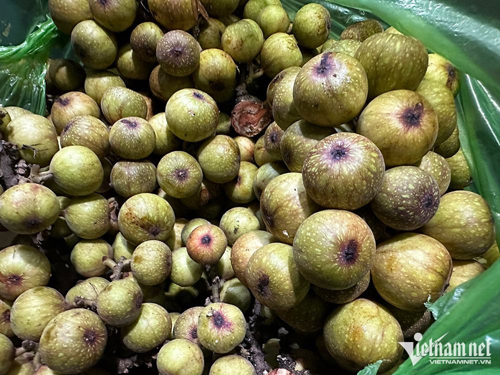 Loại quả thôn quê rẻ bèo, nay ở chợ Tết thành hàng đắt đỏ - Hình 2 Loai qua thon que re beo, nay o cho Tet thanh hang dat do-Hinh-2