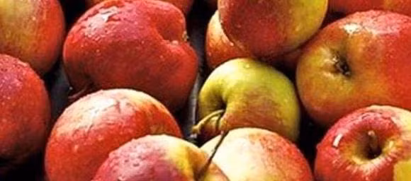 4 loai trai cay can thiet cho nguoi thuc khuya-Hinh-3