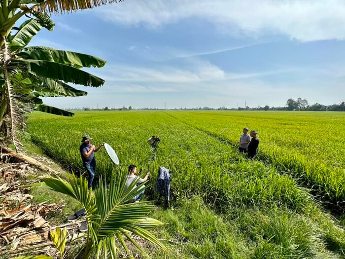 BTV VTV chiem song mang xa hoi boi man tro chuyen duoc voi heo-Hinh-11