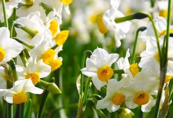 Tu thang 3, tai loc tang vut, 3 cung hoang dao kiem bon tien