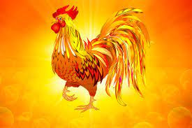 Nhờ đó, họ "lọt mắt xanh" của nhiều quý nhân, được hỗ trợ để vượt qua mọi khó khăn một cách suôn sẻ. Thu nhập cũng ngày càng tăng khiến cuộc sống của con giáp tuổi Dậu trong năm nay rất đáng mong đợi. 