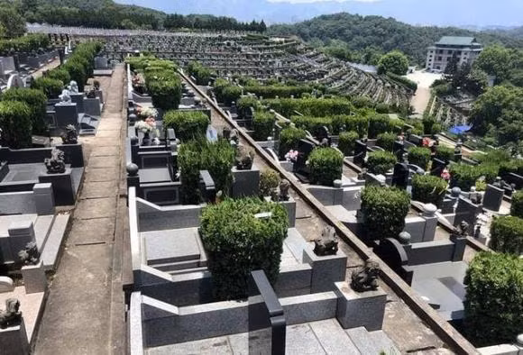 “Ba thu ben nam mo sinh ra nguoi giau”? Ba thu do la gi?-Hinh-3