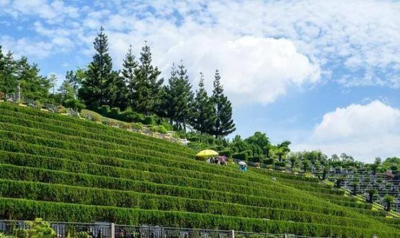 “Ba thu ben nam mo sinh ra nguoi giau”? Ba thu do la gi?-Hinh-4