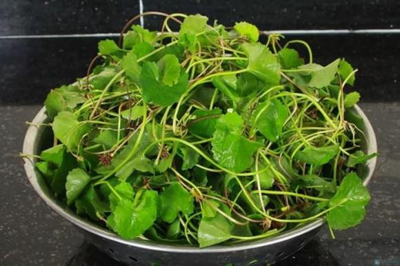 Mua he gap 3 loai rau nay mua ngay, giup thai doc, thanh nhiet-Hinh-4