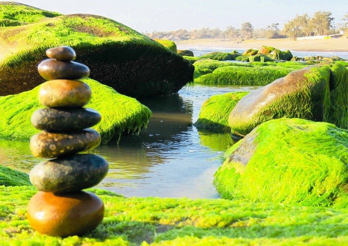 Ðến Cổ Thạch ngắm đá bảy màu và “săn” rêu - Hình 2 Ðen Co Thach ngam da bay mau va “san” reu-Hinh-2