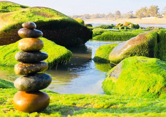 Ðen Co Thach ngam da bay mau va “san” reu-Hinh-2