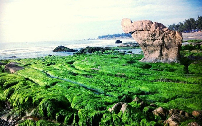 Ðến Cổ Thạch ngắm đá bảy màu và “săn” rêu Ðen Co Thach ngam da bay mau va “san” reu