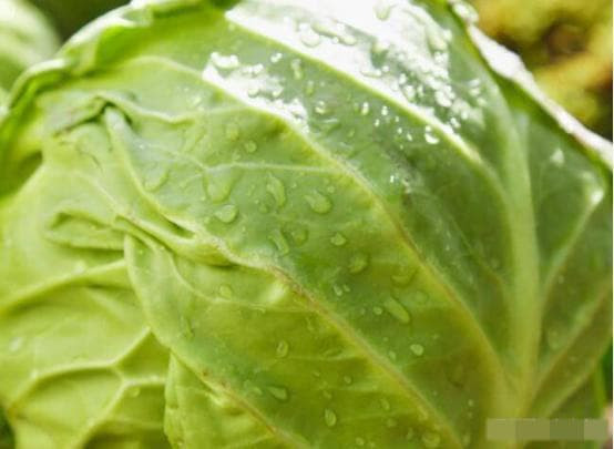 Thuc pham duoc menh danh “rau truong sinh tu nhien”, nen an thuong xuyen-Hinh-4