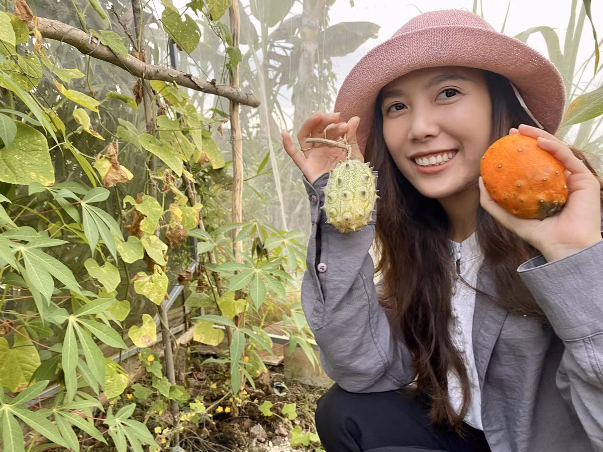 9X mien Tay me lam nong nghiep, trong ca mia Hawaii, dua chau Phi