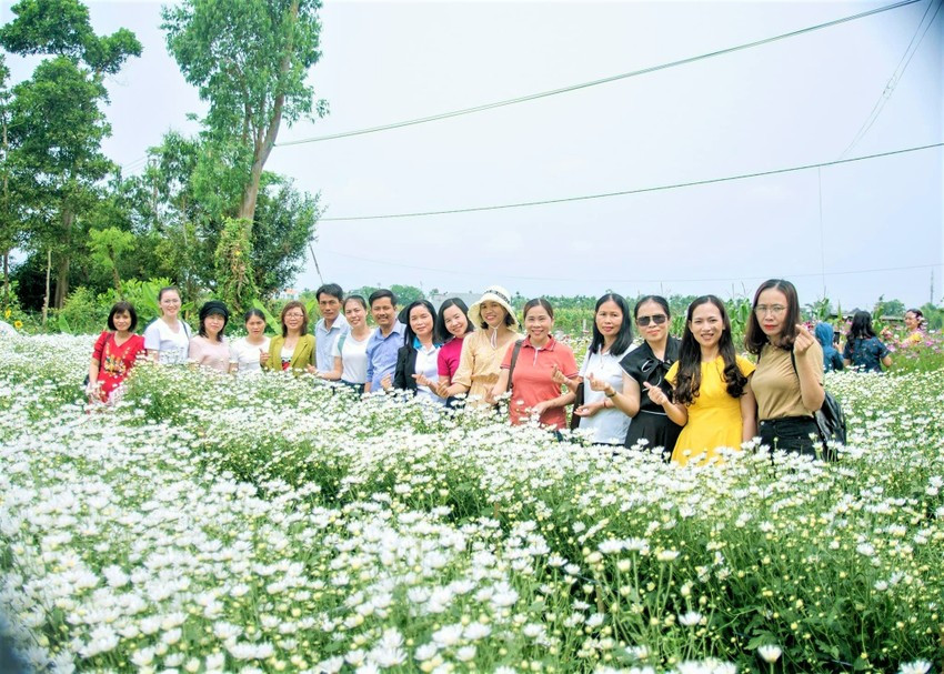 Vuon cuc hoa mi trai mua - diem den giai nhiet mua he tai xu Quang-Hinh-2