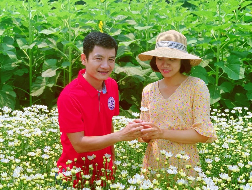 Vuon cuc hoa mi trai mua - diem den giai nhiet mua he tai xu Quang