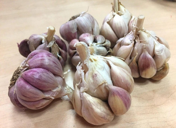 Ăn 10 thực phẩm này để giúp lá phổi khỏe mạnh hơn An 10 thuc pham nay de giup la phoi khoe manh hon