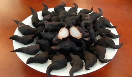 Loai cu xau xi moc duoi bun nhung tot ngang 