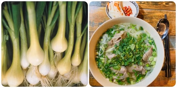 Tac hai cua viec an nhieu hanh