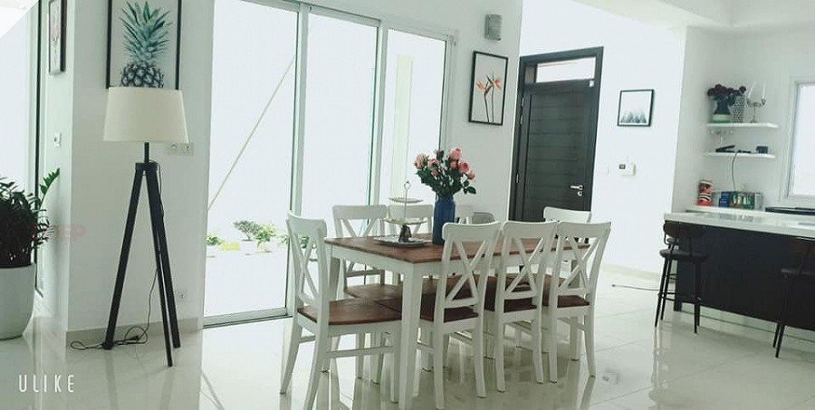 Diem chung giua 2 co ngoi cua vo moi va vo cu Shark Binh-Hinh-10