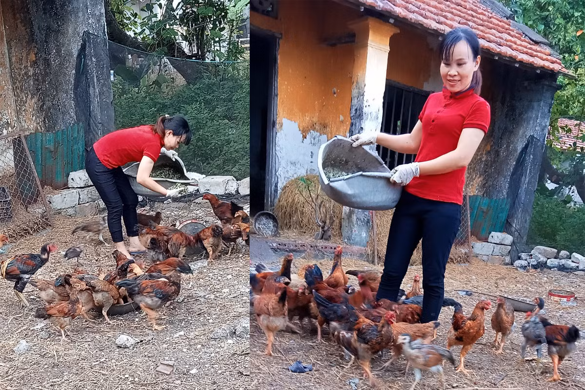 Nghe tay trai 'hai ra tien' cua cac thay co tren dao Quan Lan-Hinh-3