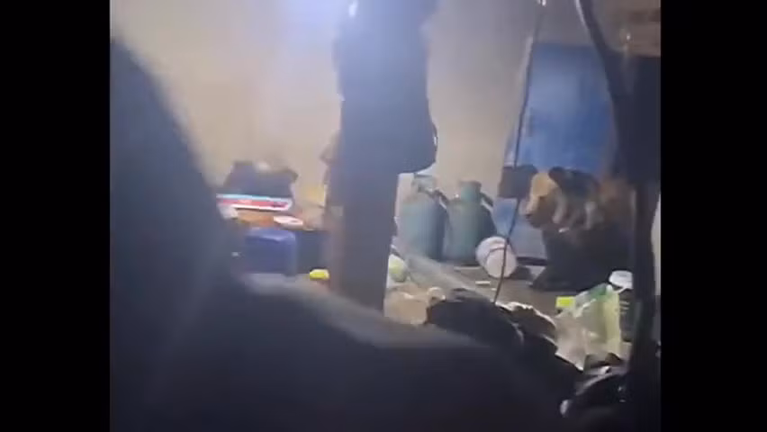 Video: Gau khong lo dot nhap phong tro, nhieu nguoi kinh hai