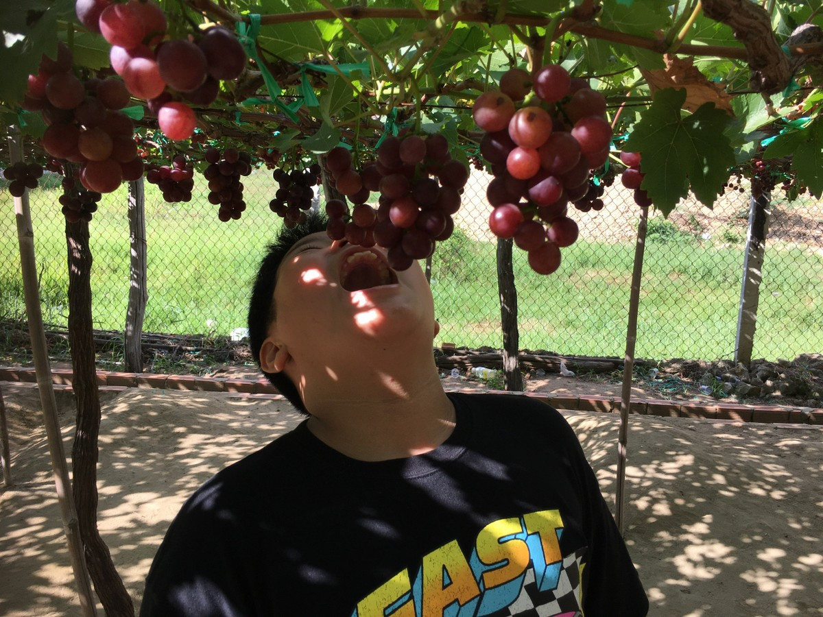 Thích thú với trải nghiệm du lịch sinh thái ở Ninh Thuận ảnh 3