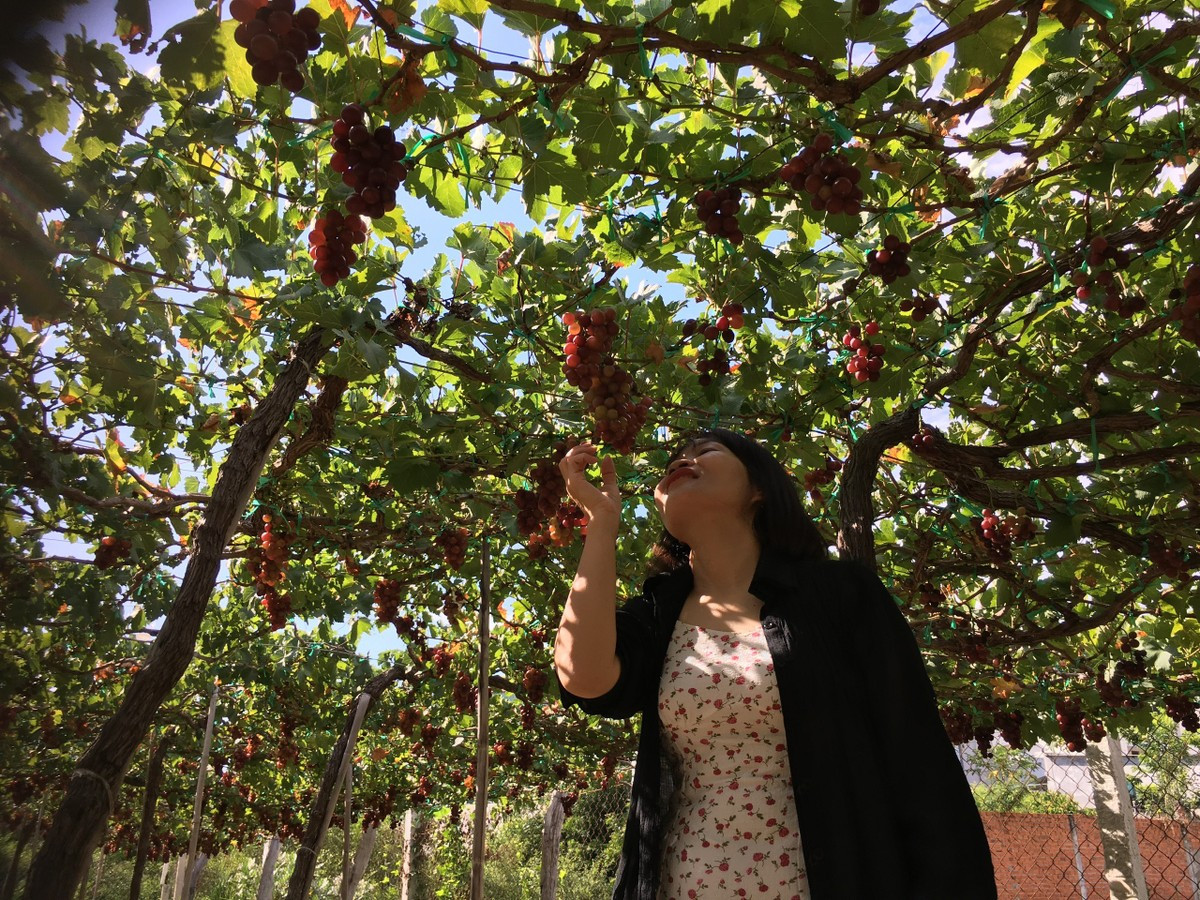 Thích thú với trải nghiệm du lịch sinh thái ở Ninh Thuận ảnh 6