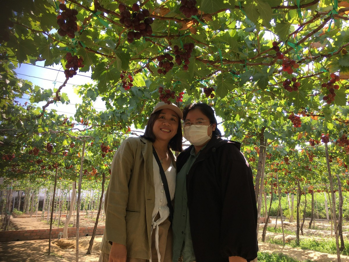 Thích thú với trải nghiệm du lịch sinh thái ở Ninh Thuận ảnh 4