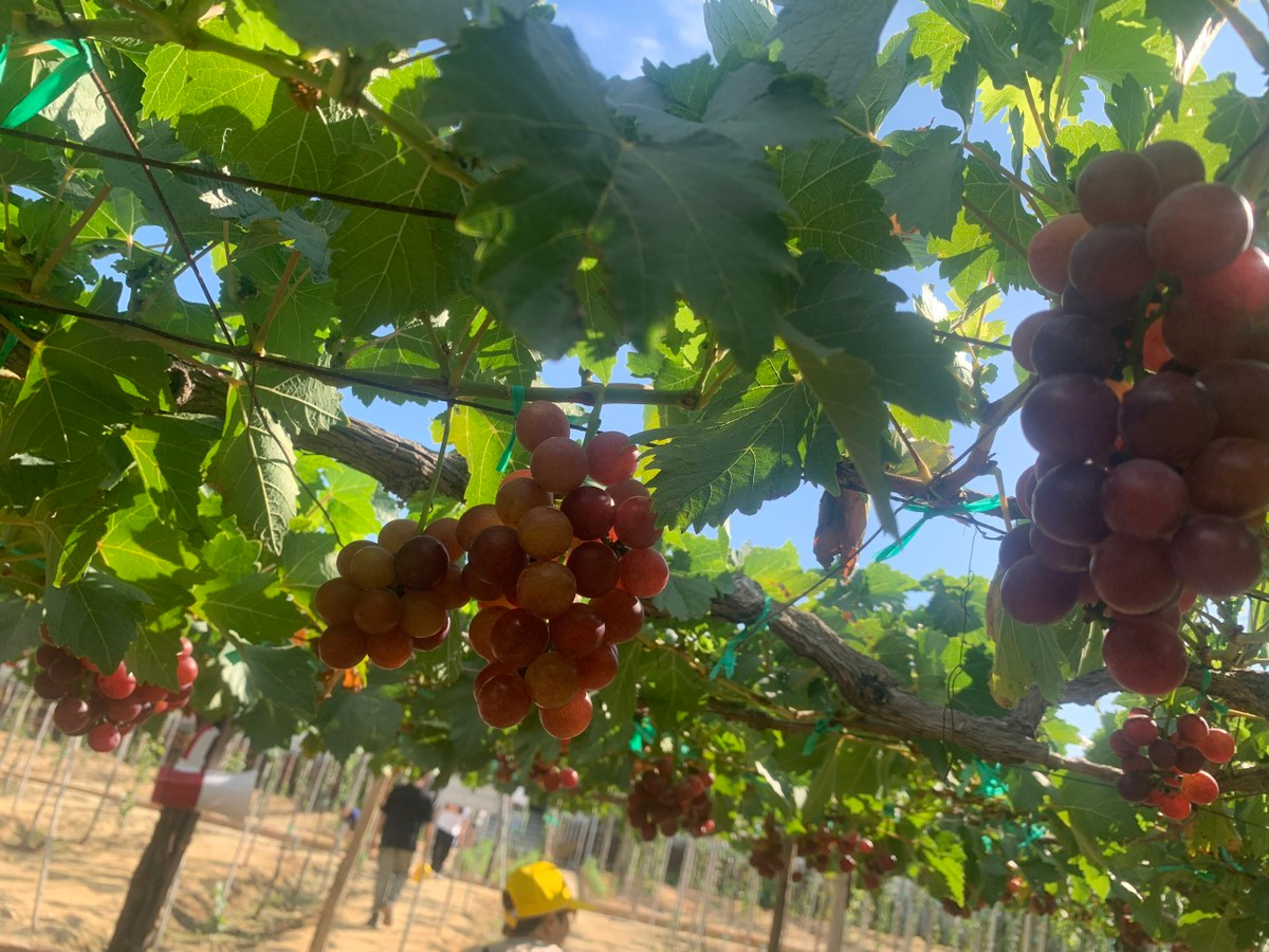 Thích thú với trải nghiệm du lịch sinh thái ở Ninh Thuận ảnh 1