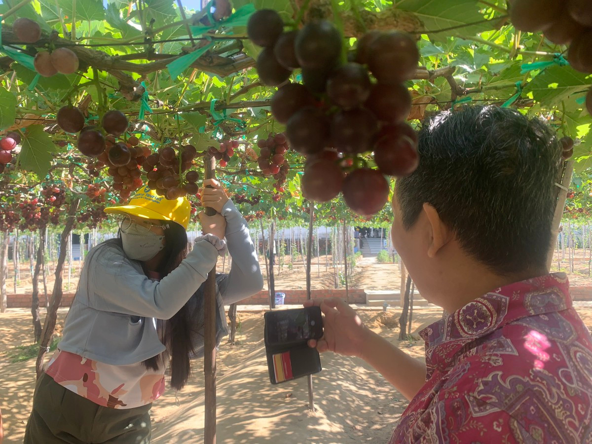 Thích thú với trải nghiệm du lịch sinh thái ở Ninh Thuận ảnh 7