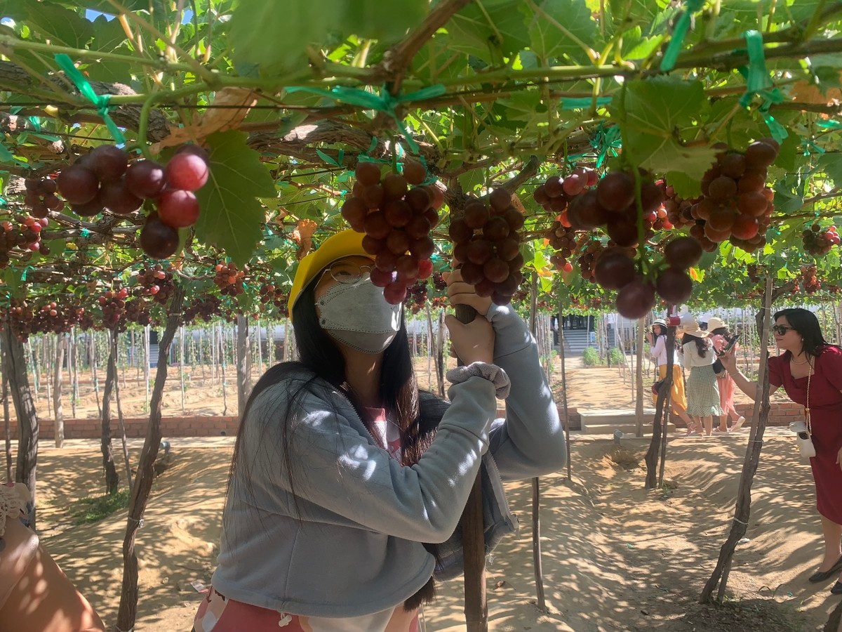 Thích thú với trải nghiệm du lịch sinh thái ở Ninh Thuận ảnh 2