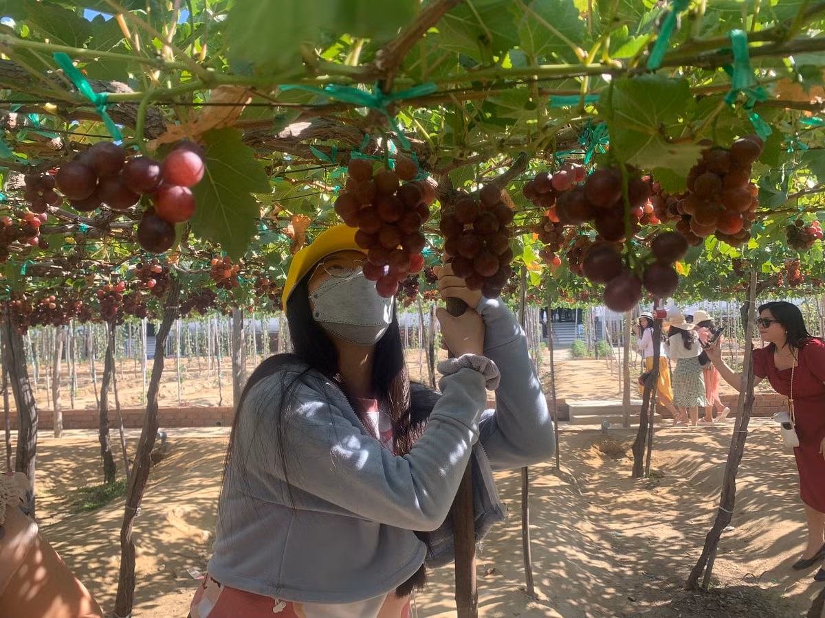 Thích thú với trải nghiệm du lịch sinh thái ở Ninh Thuận ảnh 2