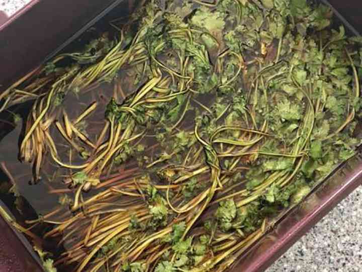 Rau mui bi ghet bo o Han Quoc van duoc ban gia sieu dat-Hinh-5