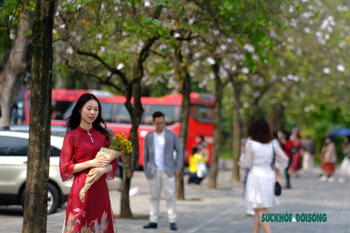 Với vẻ đẹp của loài hoa ban vùng Tây Bắc đã thu hút không ít người dân, đặc biệt là giới trẻ tới đây check in khi mùa hoa nở rộ.