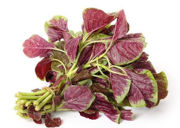 3 loai rau re beo an vao benh tat it ghe tham-Hinh-3