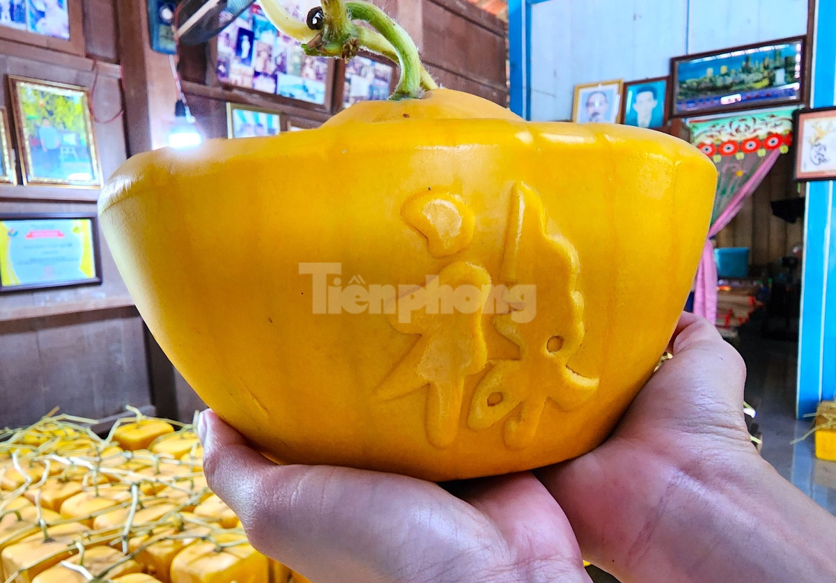 Bên cạnh đó, yếu tố thời tiết và khuôn tạo hình đóng vai trò vô cùng quan trọng trong quá trình cho ra đời trái dưa hấu độc lạ. Riêng, khuôn dưa hấu phải là loại đảm bảo chịu lực tốt để trong quá trình phát triển, trái dưa không làm vỡ khuôn. Do đó, khác với các nhà vườn tại miền Tây, ông Cưng đã tự sáng chế ra khuôn tạo hình dưa hấu bằng gỗ căm xe, vừa chịu lực tốt, vừa có độ bền cao (Ảnh: Kim Hà).