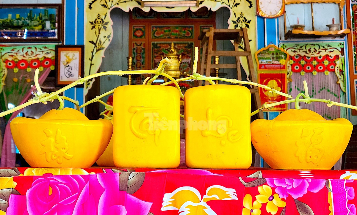 Năm nay, dưa hấu vuông và thỏi vàng của ông Cưng được tạo hình chữ Phúc - Lộc tiếng Hoa và chữ Tài - Lộc tiếng Việt được khách hàng rất ưa chuộng (Ảnh: Kim Hà).