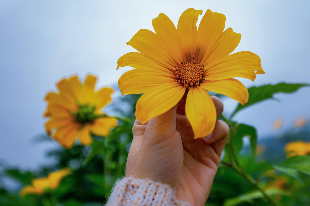 5 ngày Âm lịch này, được quý nhân che chở - Hình 2 5 ngay Am lich nay, duoc quy nhan che cho-Hinh-2